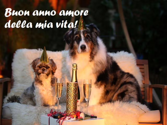 sms buon anno amore