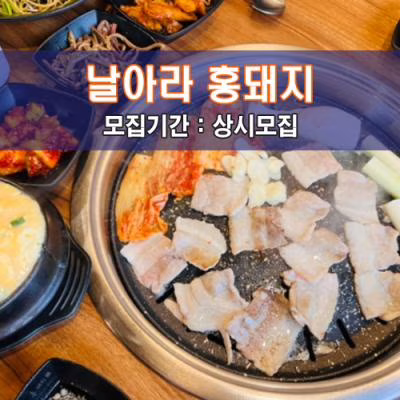날아라 홍돼지