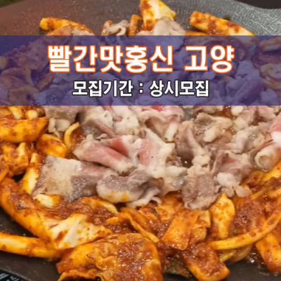 빨간맛홍신 고양