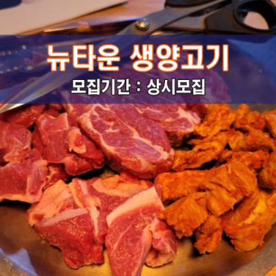 뉴타운 생양고기