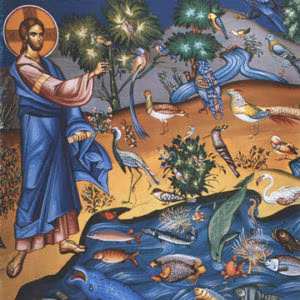 Creation of the Birds and Fishes