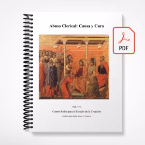 Abuso Clerical Causa y Cura - eBook PDF