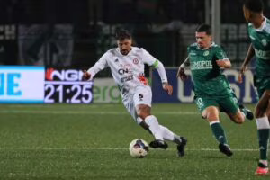 Vacca Avellino-Foggia
