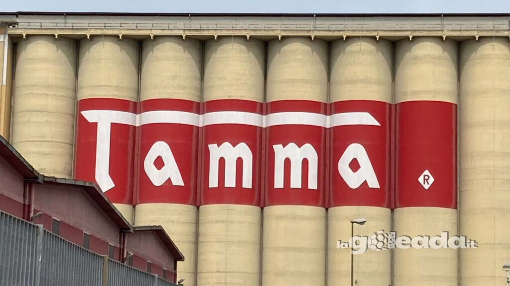 Tamma Foggia