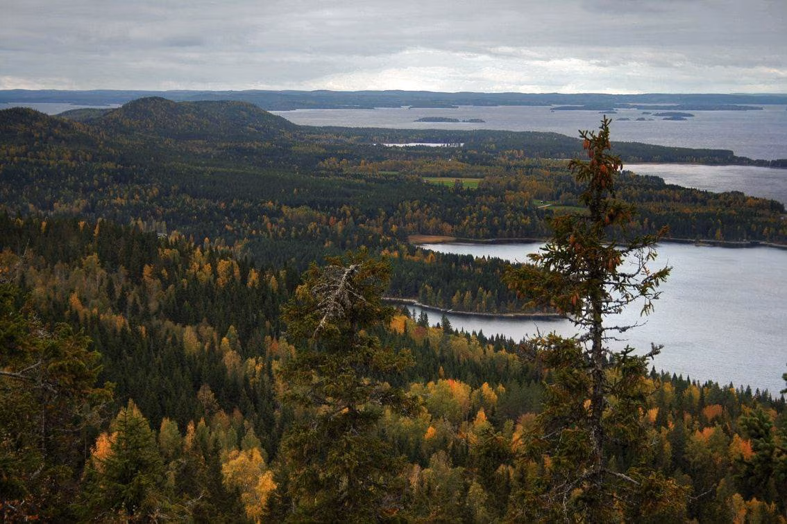 Allemansrätten does not apply to nature reserves and other protected nature areas