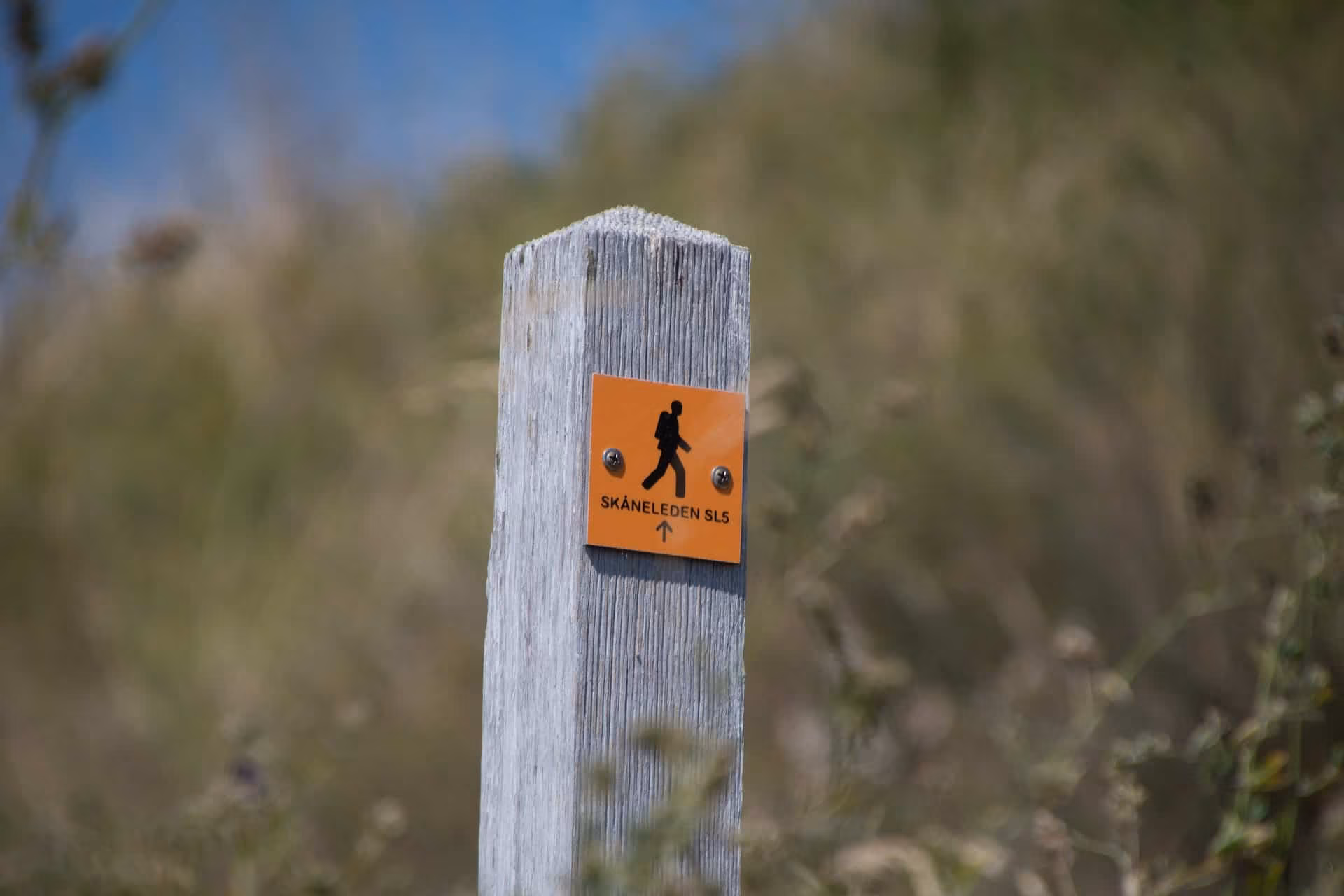 Almost all hiking trails are very well marked, so you won't get lost quickly