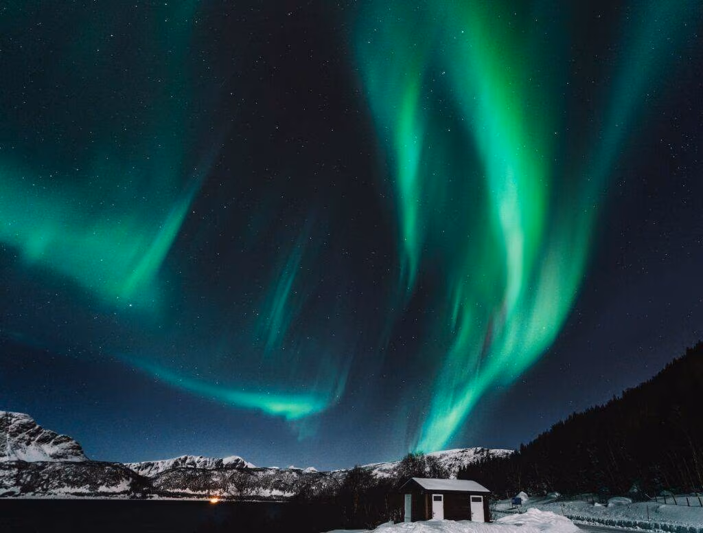 green aurora lights during night time