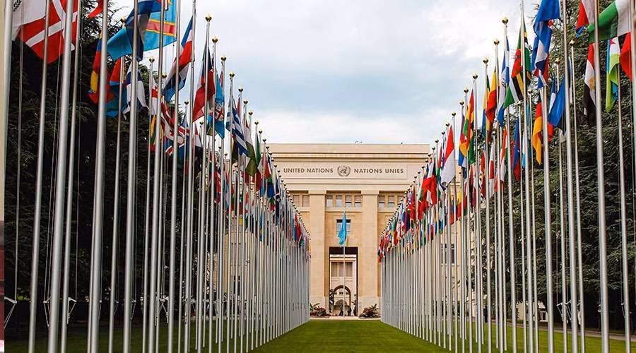 &nbsp;Unsplash - Jornal O São Paulo