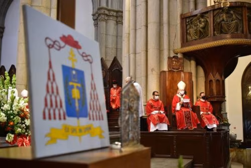 centenario dom paulo