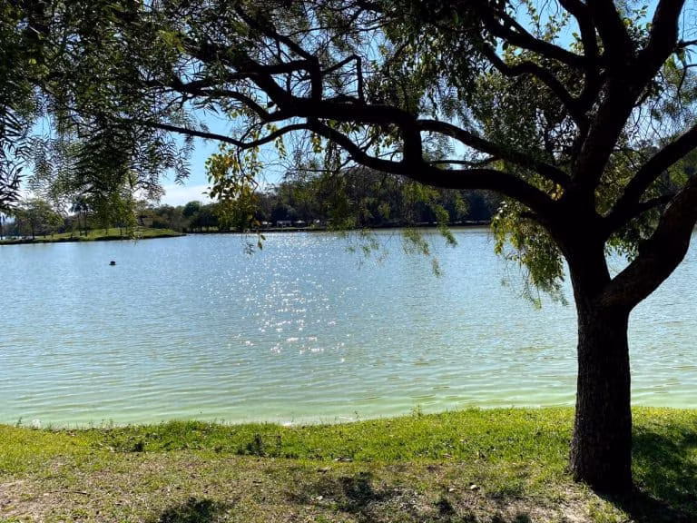 Água é direito humano ‘fundamental e universal’ e não mercadoria, diz Santa Sé - Jornal O São Paulo