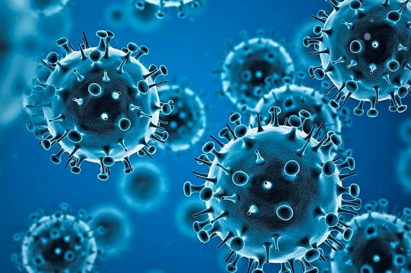 Reprodução - Jornal O São Paulo