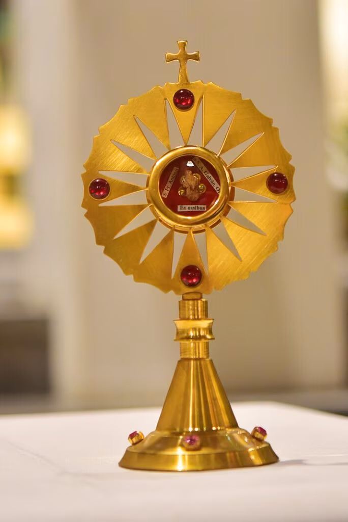 Abertas as comemorações do bicentenário da morte de Frei Galvão - Jornal O São Paulo