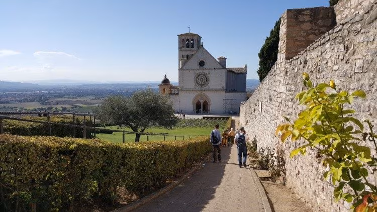 Confira a programação do Papa Francisco para o Dia Mundial dos Pobres - Jornal O São Paulo