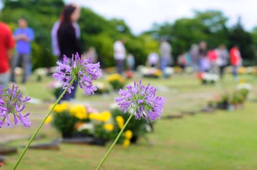 No ‘Dia de Finados’, católicos testemunham a fé na vida eterna e rezam por seus falecidos - Jornal O São Paulo