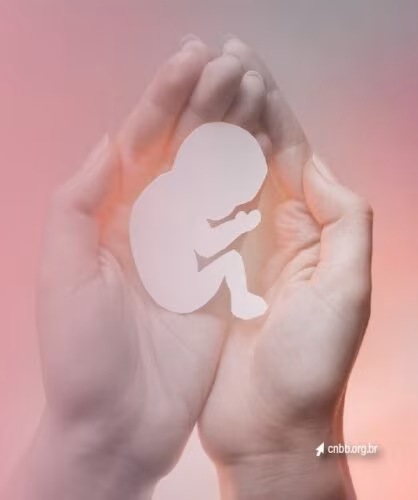 Bispos Europeus: tristeza pela votação sobre aborto no Parlamento - Jornal O São Paulo