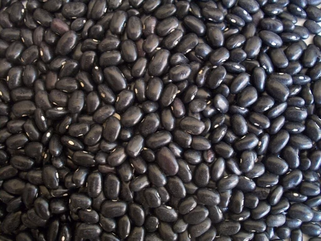 Oficinas gastronômicas da Prefeitura de São Paulo ensinam preparo da tradicional feijoada