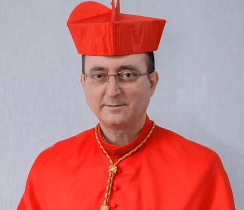 Papa nomeia o Cardeal Sergio da Rocha membro do Conselho dos Cardeais - Jornal O São Paulo