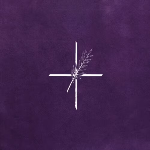 A Igreja celebra a Comemoração de Todos os Fiéis Defuntos - Jornal O São Paulo