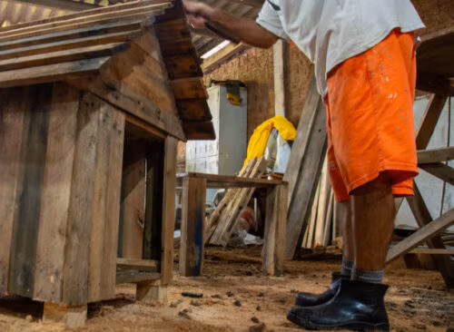 Apenados da Penitenciária de Canoas I produzem casinhas para animais atingidos pelas chuvas - Jornal O São Paulo
