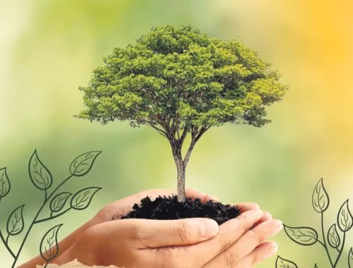 Junho Verde: Um chamado ao compromisso com a ecologia integral - Jornal O São Paulo