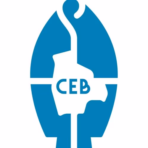 Bispos bolivianos repudiam ‘toda a ação contra a estabilidade democrática’ do país - Jornal O São Paulo