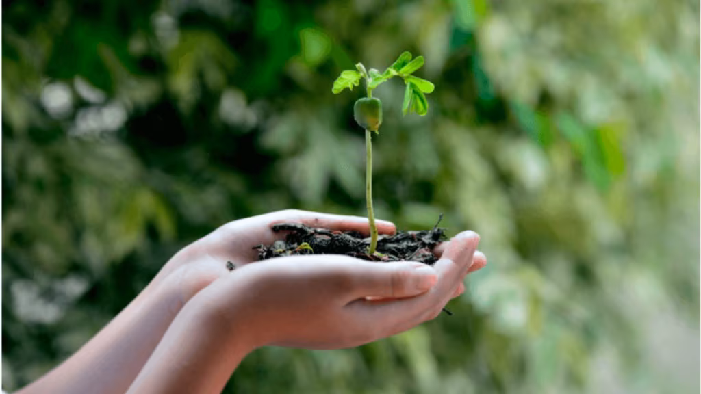 Workshop da ANEC sobre a Campanha da Fraternidade 2025 destaca a urgência da ecologia integral na educação - Jornal O São Paulo