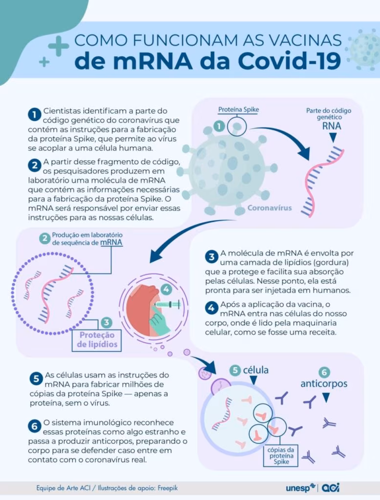 Programas de vacinação revolucionaram a saúde no Brasil e no mundo, mas a queda no uso de imunizantes preocupa a OMS - Jornal O São Paulo