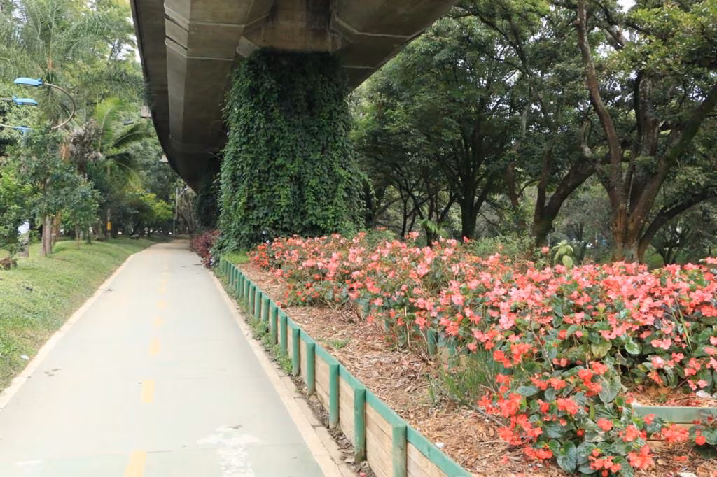 As experiências com corredores verdes em 3 cidades do mundo - Jornal O São Paulo