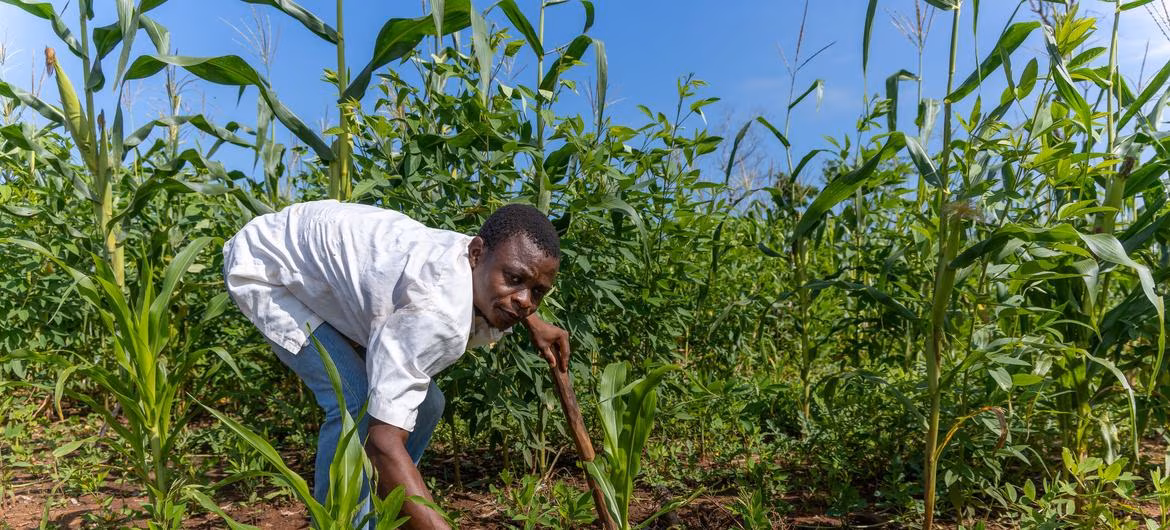 Do mar ao solo: um pescador se reiventa em meio à crise no norte de Moçambique - Jornal O São Paulo