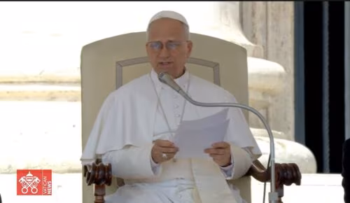 Papa: a humanidade ferida tem sede de Jesus, a fonte de água viva - Jornal O São Paulo