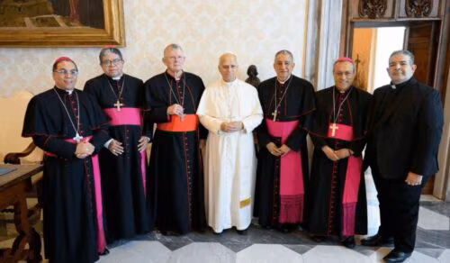 Membros da presidência do Celam têm audiência com o Papa Leão XIV - Jornal O São Paulo