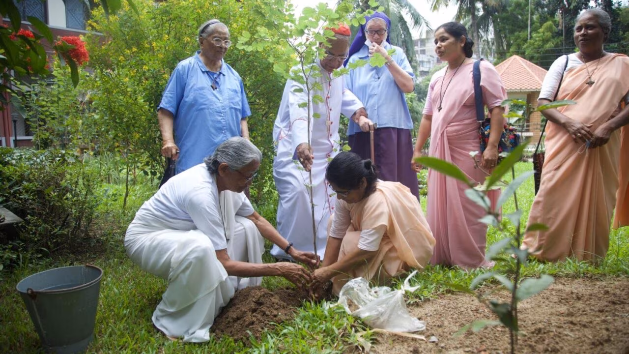 Bangladesh: Laudato si’ inspira o plantio de 1 milhão de árvore - Jornal O São Paulo