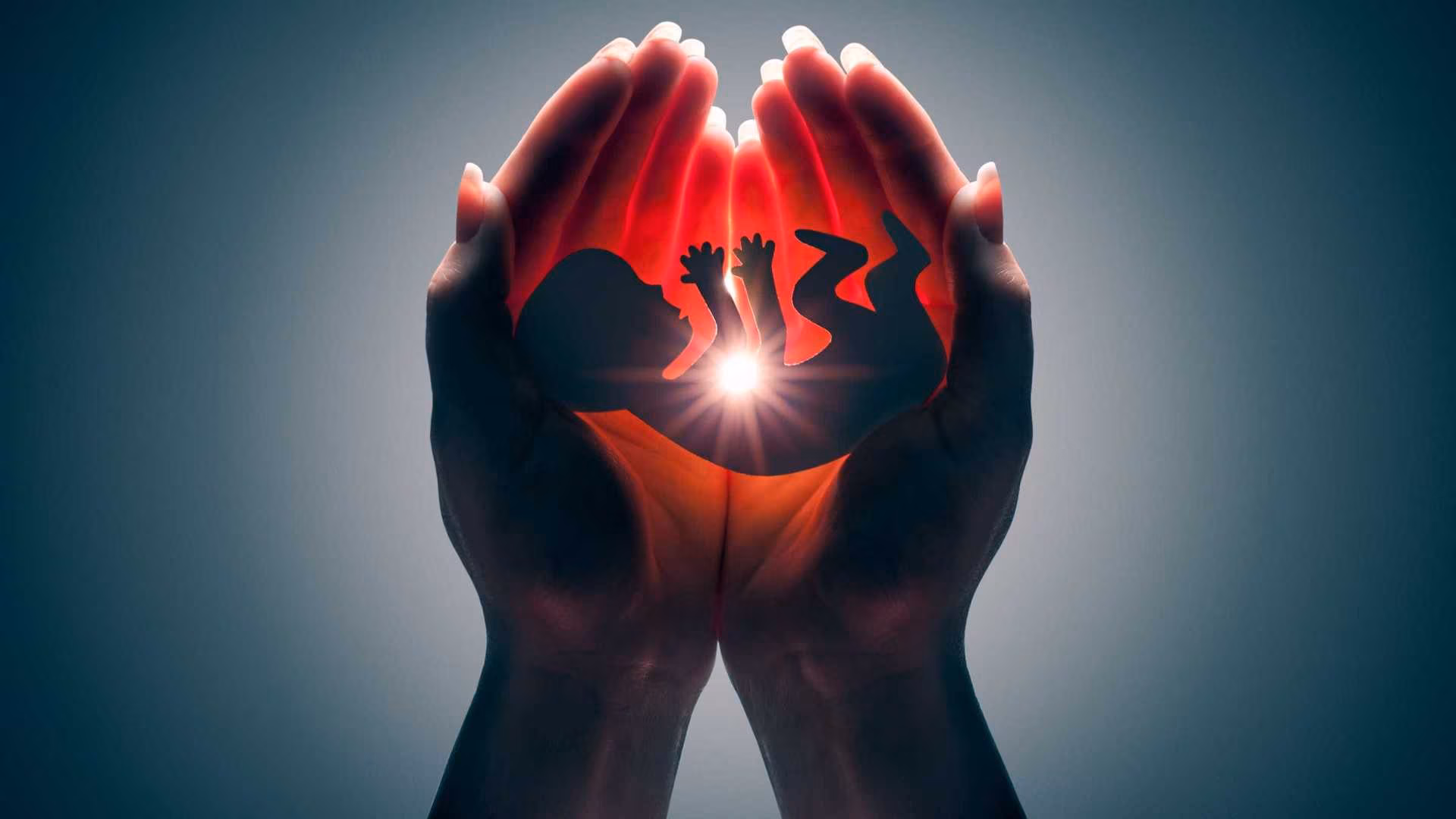 Semana da Vida e do Nascituro: respeito à dignidade humana, da concepção à morte natural - Jornal O São Paulo