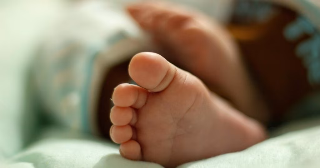 Defender a vida sempre: CNBB manifesta preocupação com decisões judiciais sobre o aborto - Jornal O São Paulo