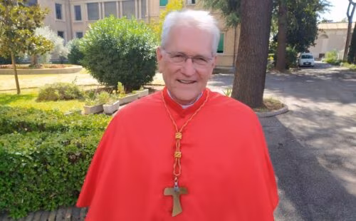 Papa Leão XIV decide que Cardeal Steiner permanecerá por mais 2 anos na Arquidiocese de Manaus (AM) - Jornal O São Paulo