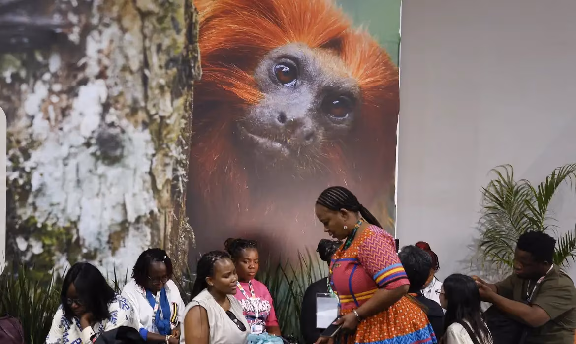 COP30: financiamento, transição e adaptação são centro das negociações - Jornal O São Paulo