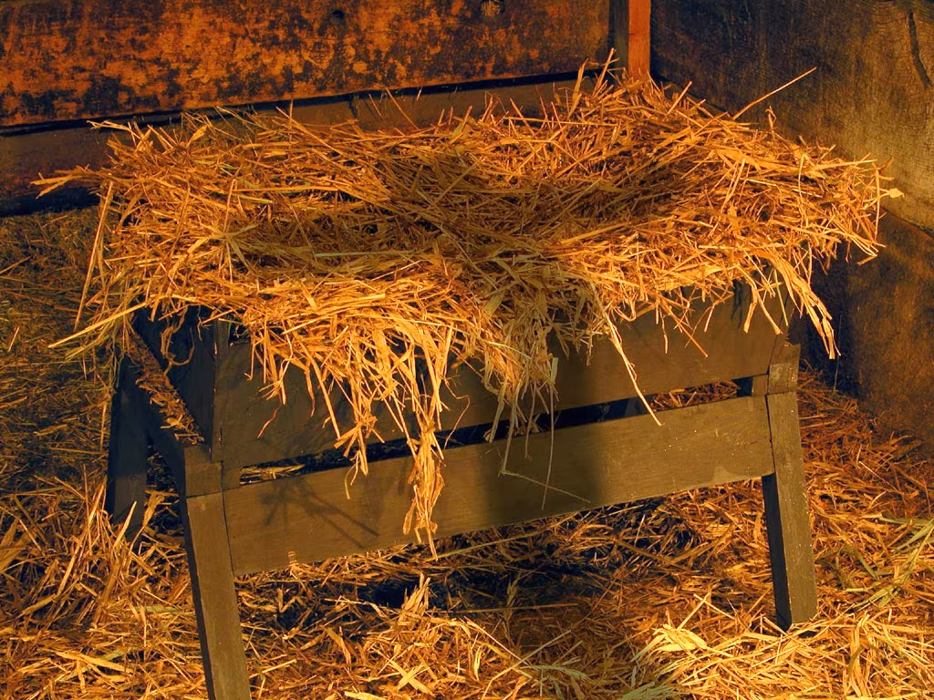 Advento: espera, conversão e esperança no Mistério da Encarnação  - Jornal O São Paulo