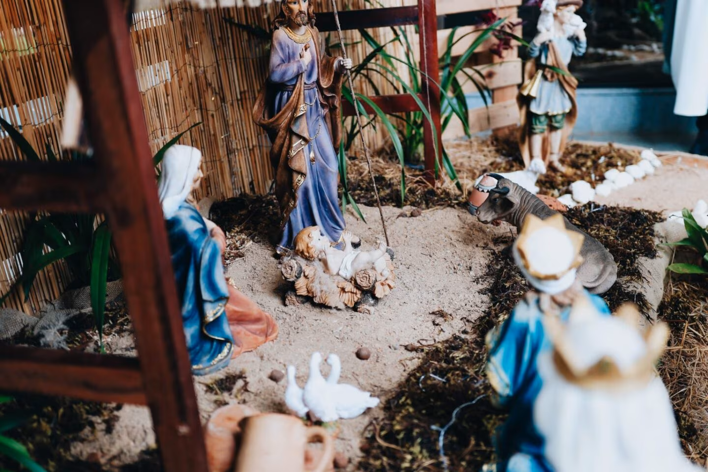 O sentido das quatro celebrações da Solenidade do Natal do Senhor - Jornal O São Paulo