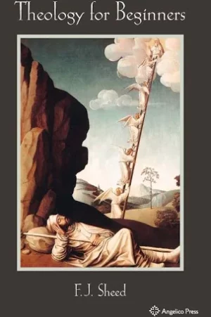 Theology for Beginners