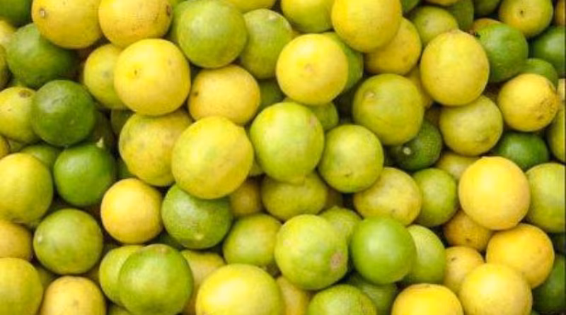 Lemon