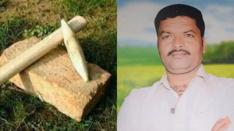 Haveri Cinnamon Tipper