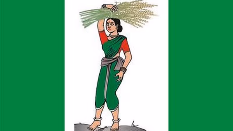JDS FLAG