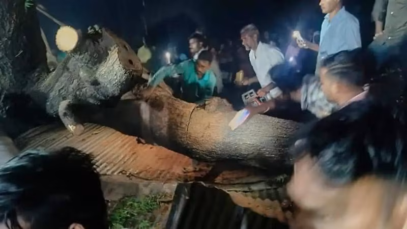 7DEAD MAHARASHTRA