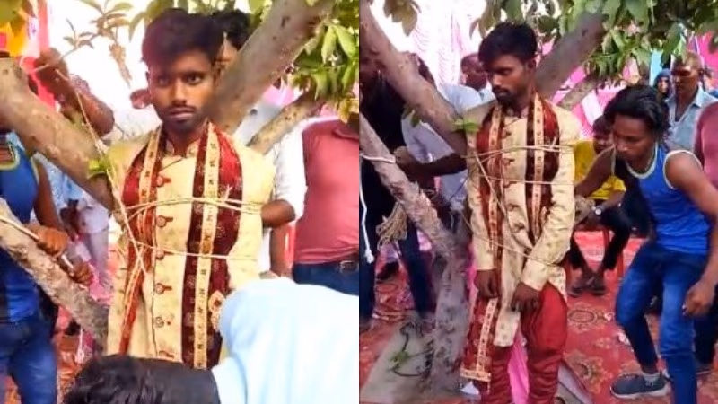 uttar pradesh groom
