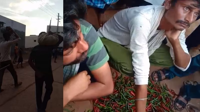 gadag chilli theft