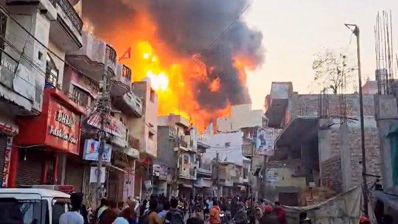 Delhi Factory