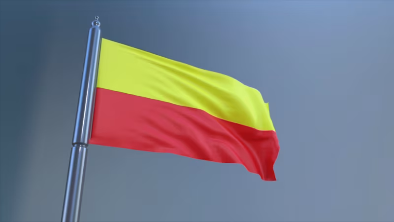 Kannada flag