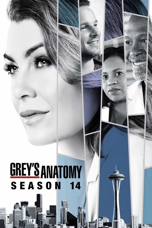 Grey's Anatomy-Season 14