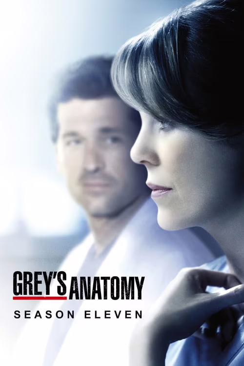 Grey's Anatomy-Season 11