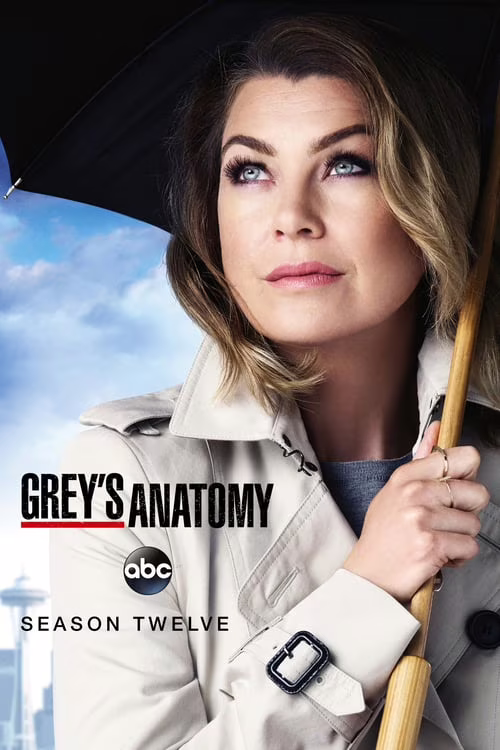 Grey's Anatomy-Season 12